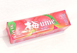 Lotte fruit chewing gum 樂天果味口香糖